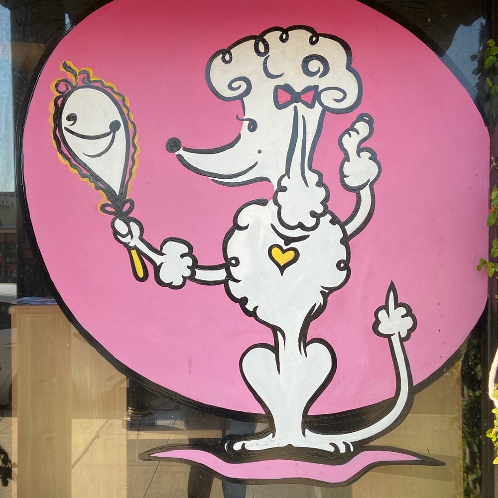 Meet your Posher, Nouar